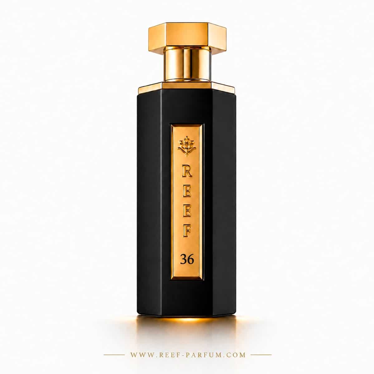 Reef 36 - Parfum féminin de niche - 100 ml