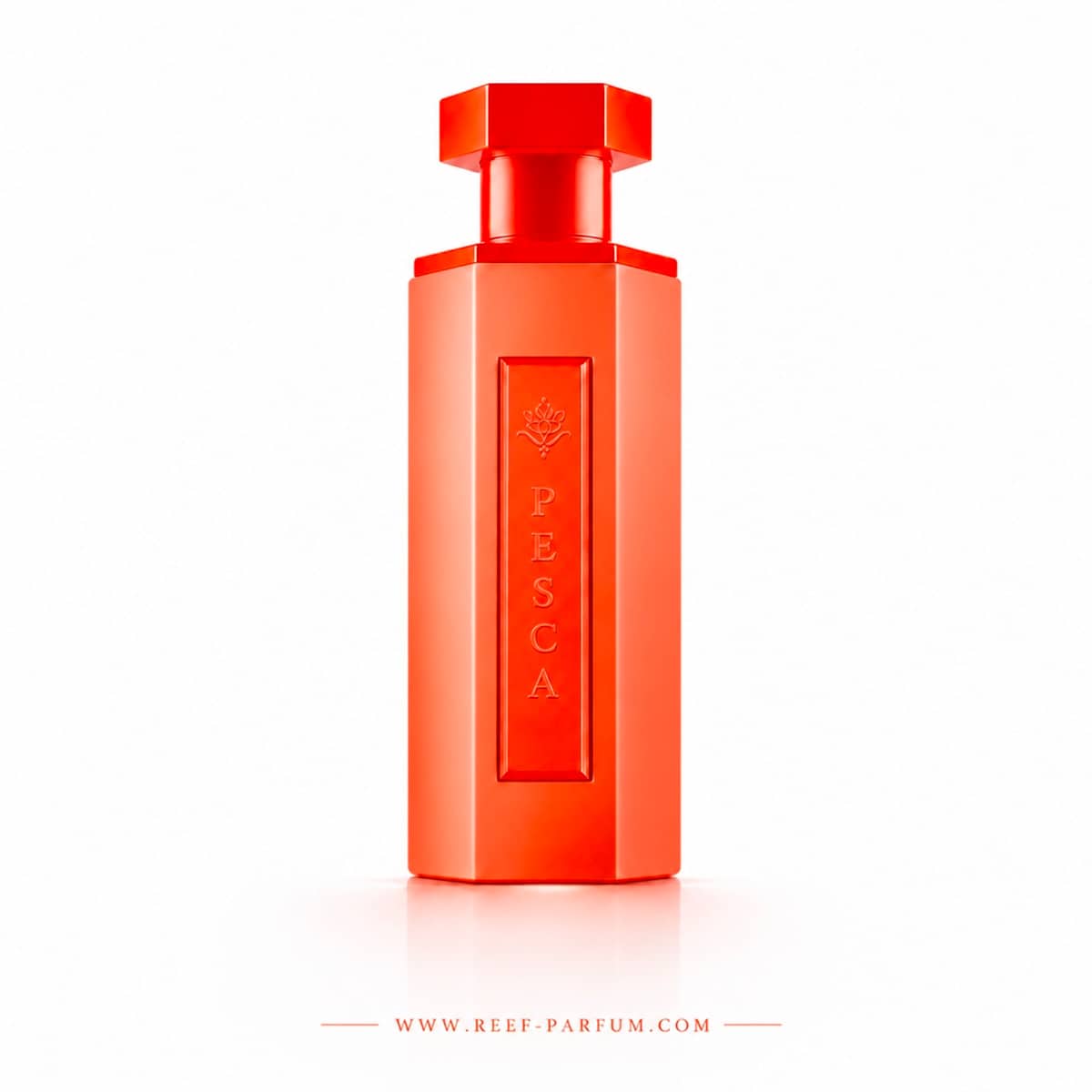 Reef Pesca – Eau de parfum mixte de niche – 200 ml